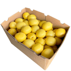 Lemon Premium Box 15kg