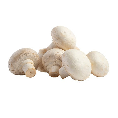 Mushrooms Button | Harris Farm Online
