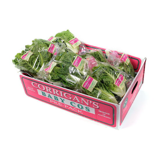 Lettuce Cos Baby Twin packs Box 10 | Harris Farm Online