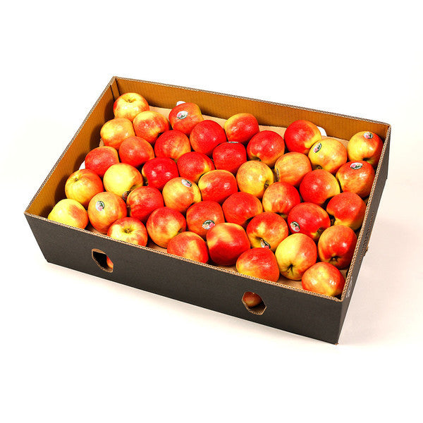 Apples Pink Lady Value Range (box 12kg) , Wholesale - HFM, Harris Farm Markets