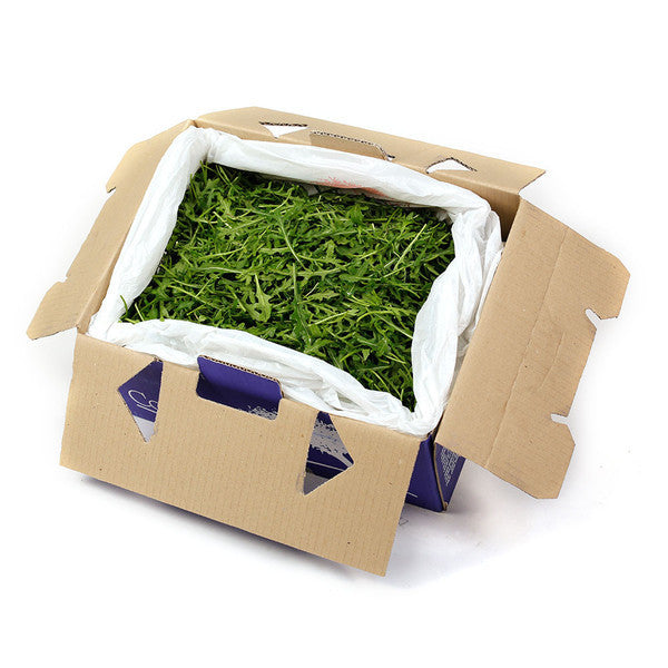 Salad Roquette loose (box 1.5kg ) , Wholesale - HFM, Harris Farm Markets