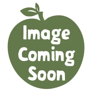 Born Cultured Natural Organic Coconut Yoghurt 500g