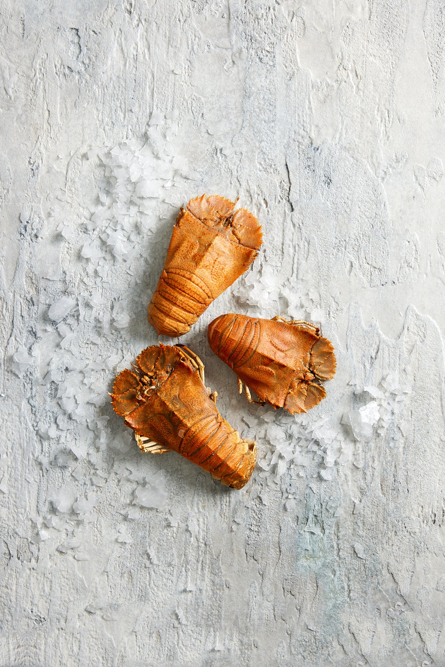 Fish in the Family Moreton Bay Bugs Raw min 500g