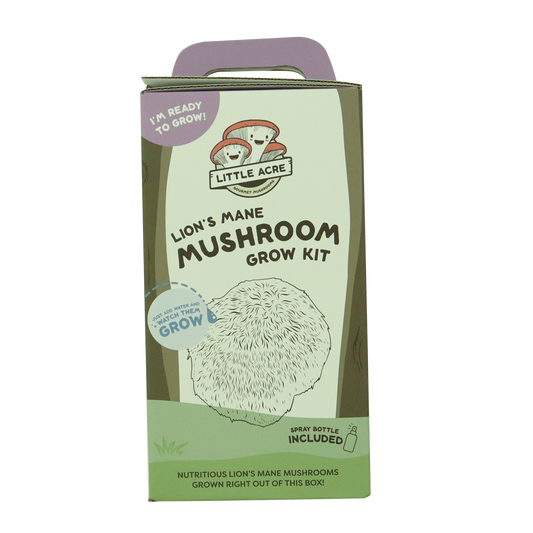 Little Acre Lions Mane Mushroom Grow Kit Each
