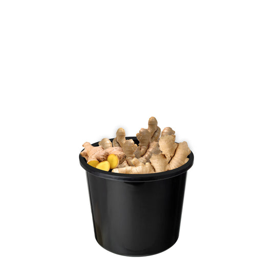 Ginger Value Bucket