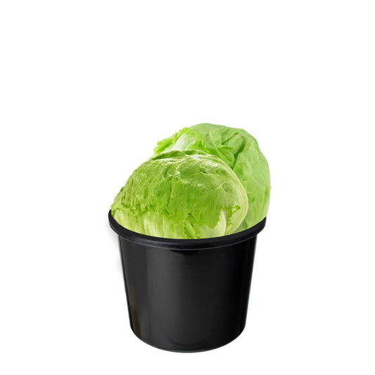 Lettuce Value Bucket