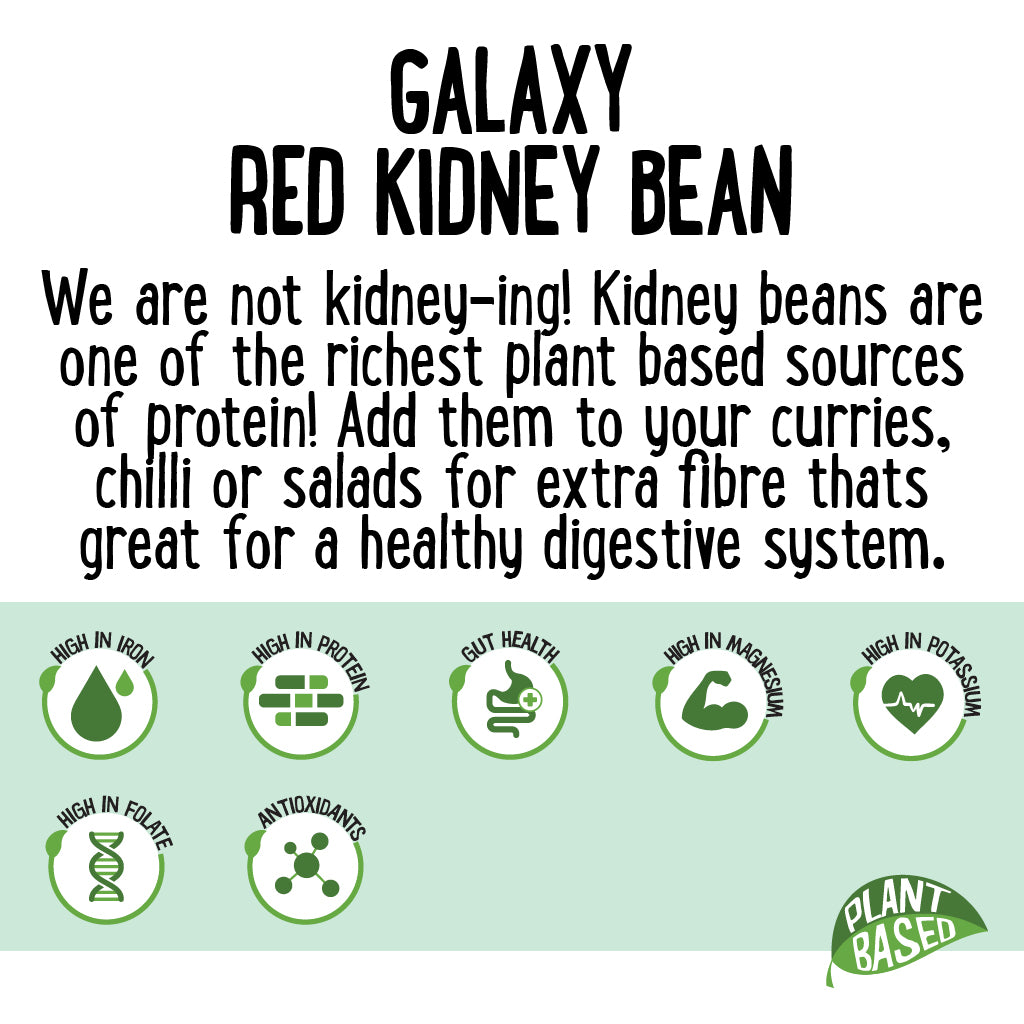 Galaxy - Red Kidney Beans (500g)