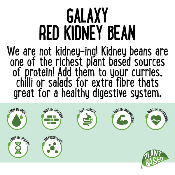 Galaxy Red Kidney Beans 1kg