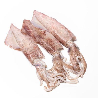 Fresh Loligo Squid Calamari | Harris Farm Online