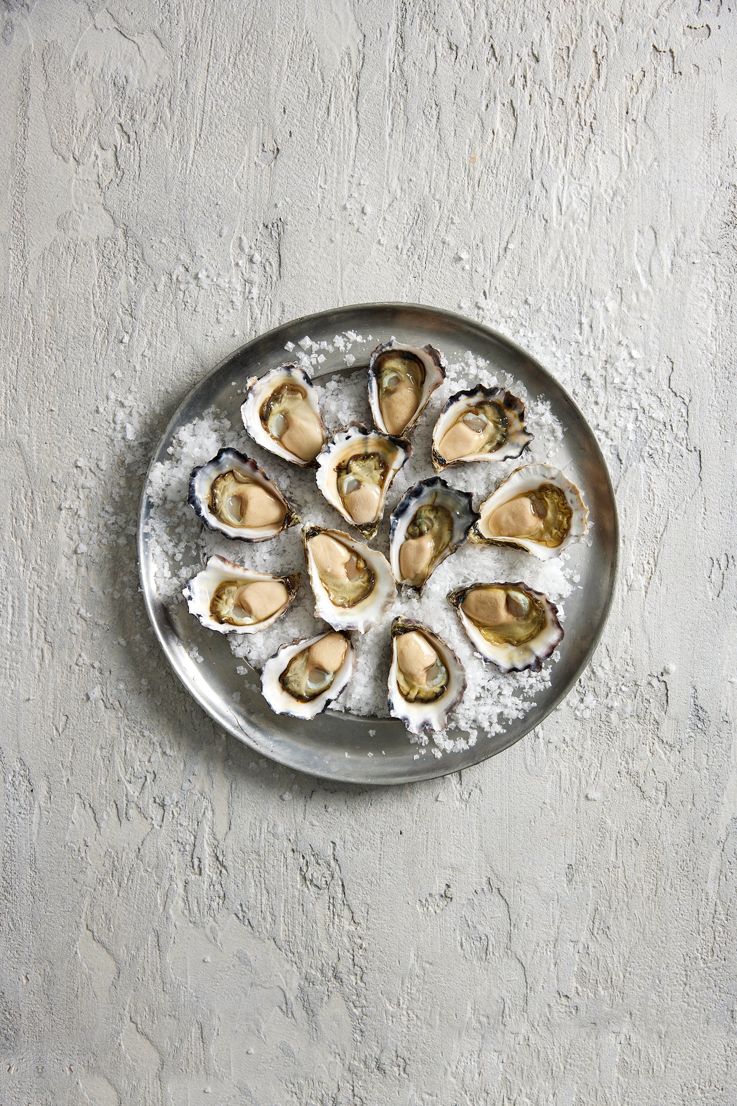 Fish in the Family Sydney Rock Oysters Extra Large 1 doz