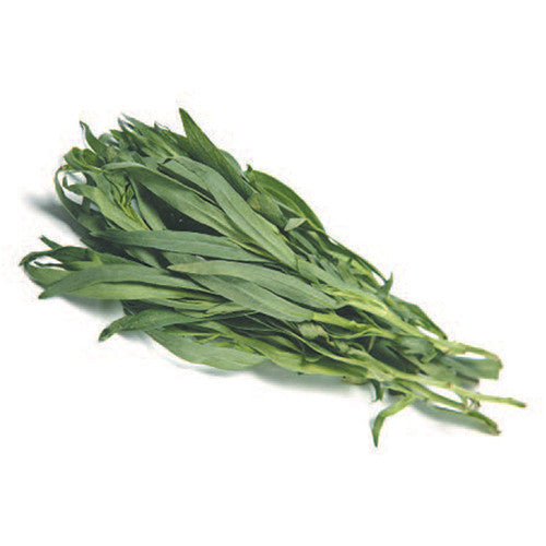 Buy Tarragon from Harris Farm Online Harris Farm Markets