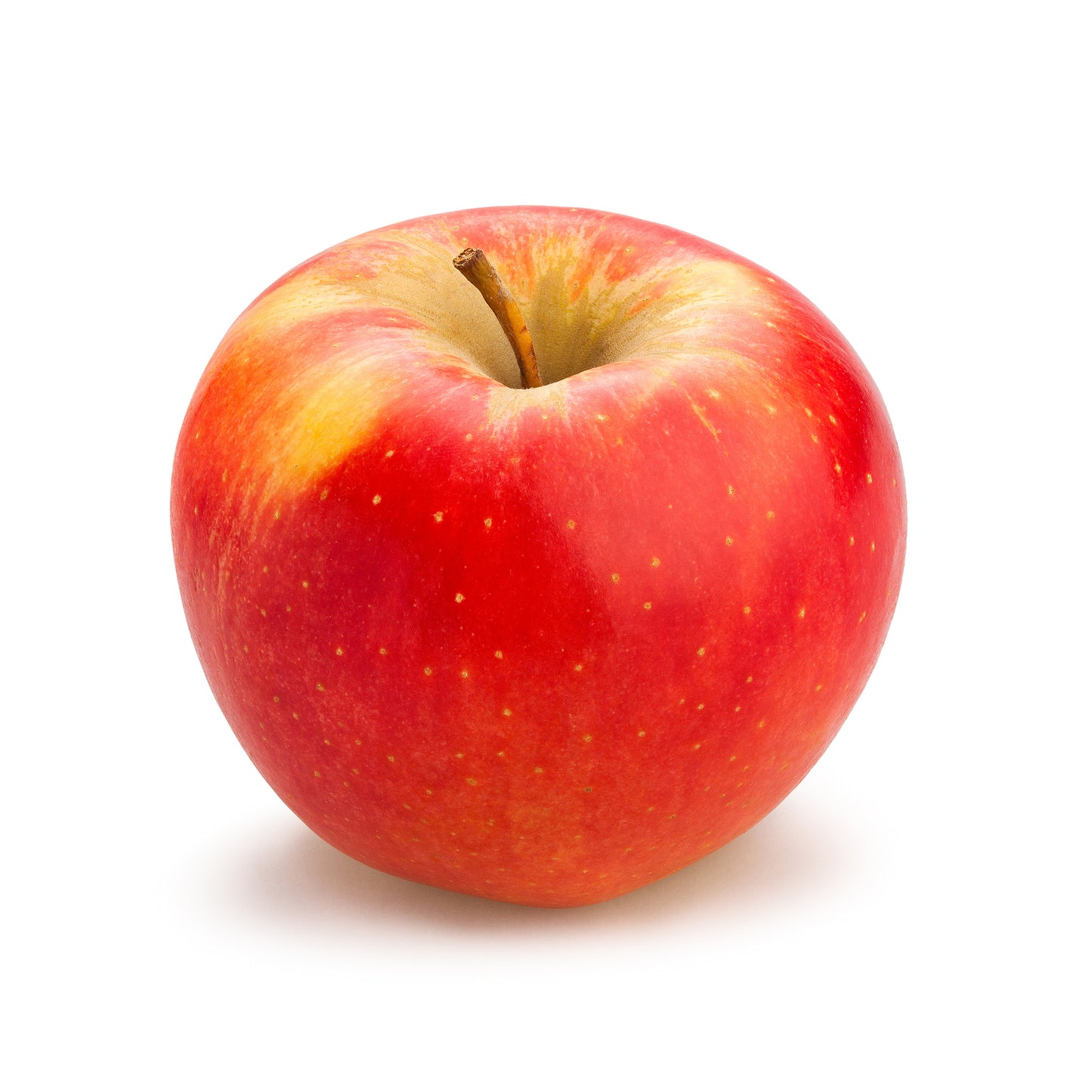 Apple Pink Lady Lunch Box Size Each