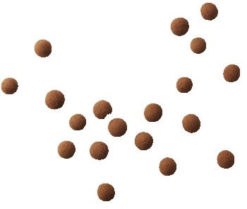 Lakrids by Bulow C Chocolate Coated Liquorice Coffee Kieni | Harris Farm Online