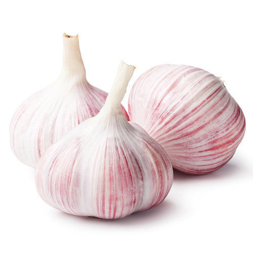 Garlic Head Each | Harris Farm Markets Online