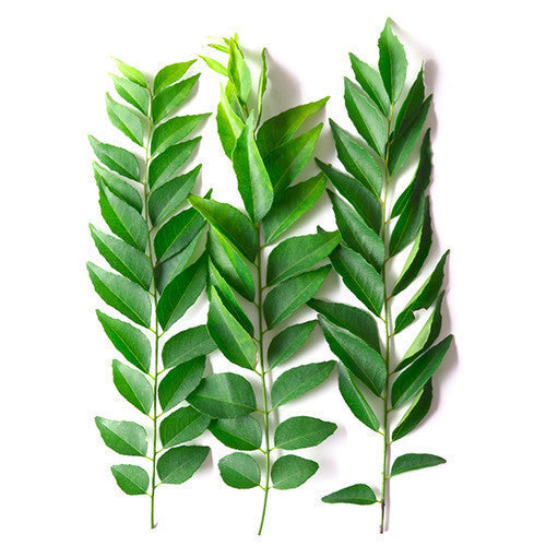 Curry Leaves (bag 1kg) , Wholesale - HFM, Harris Farm Markets