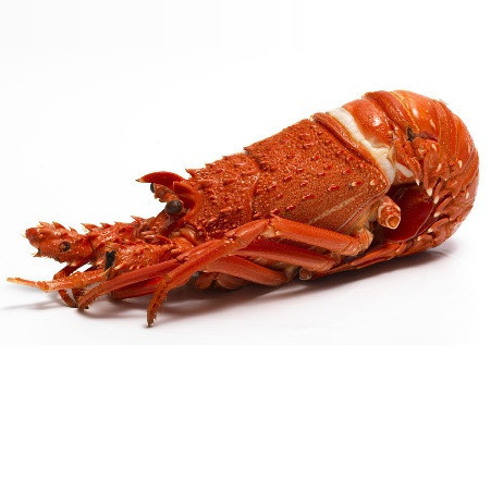 Lobster Whole Cooked WA (SFS) min 300g , Fish - Fish, Harris Farm Markets