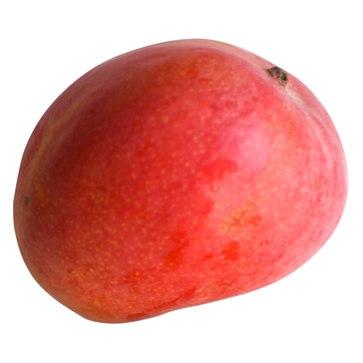 Mango Lady Jane Each