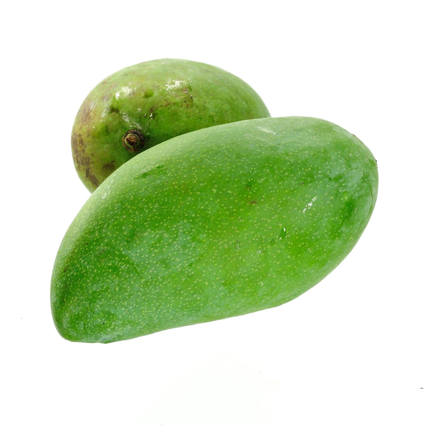 Cooking Mangoes | Harris Farm Online