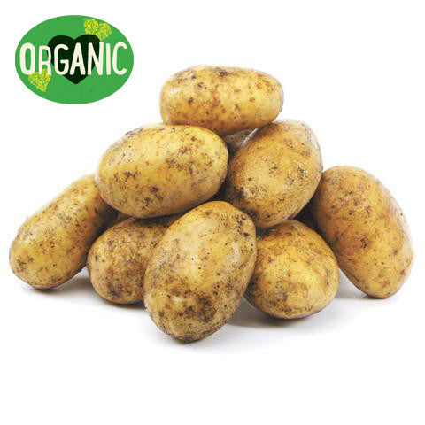 Potato Dutch Cream Organic min 1kg