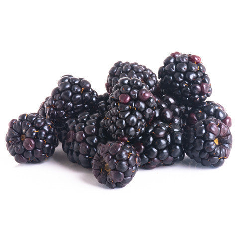 Youngberries (125g punnet) , S08S-Fruit - HFM, Harris Farm Markets