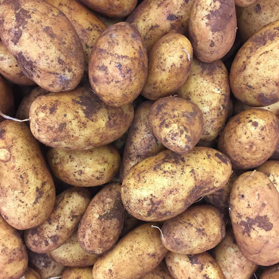 Pick of the Week -  Brushed Potatoes