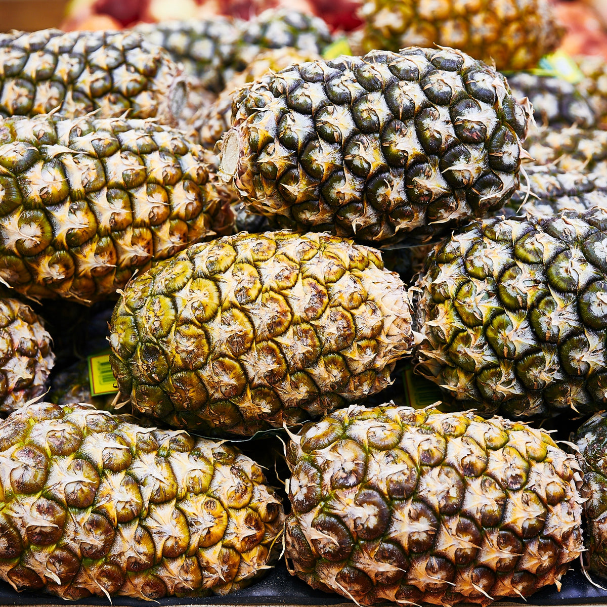 Pick of the Week -  Topless Gold pineapples