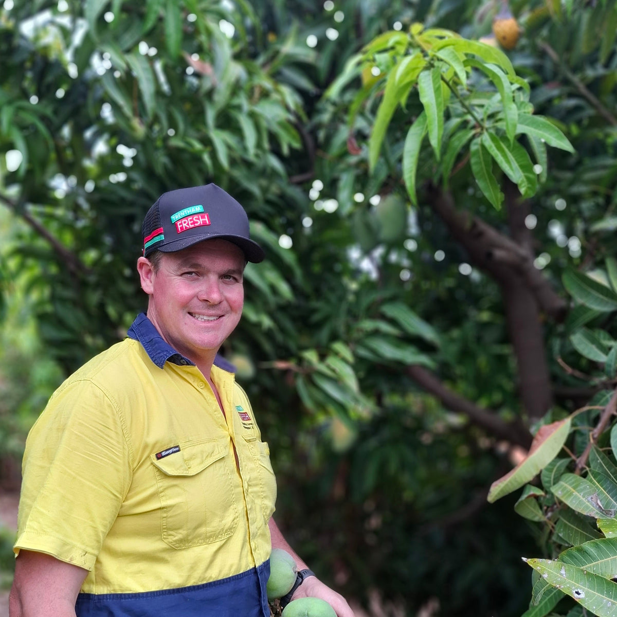 Meet Trentham Fresh: The Growers Behind Our Late-Season Mangoes