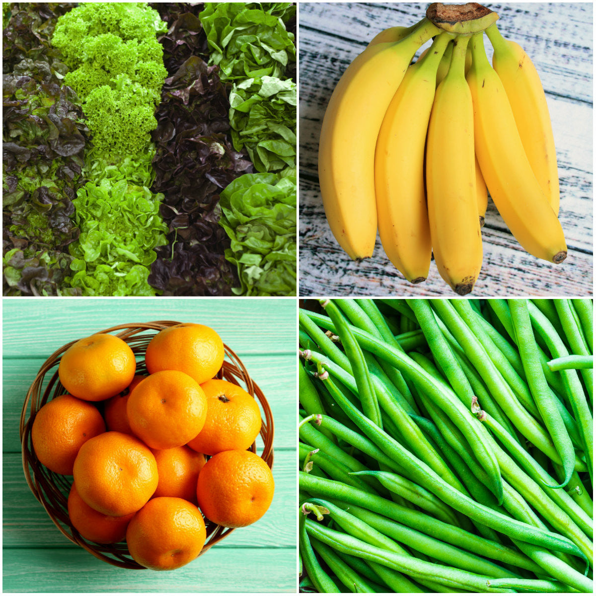 Dave's Market Update - 26.04.16