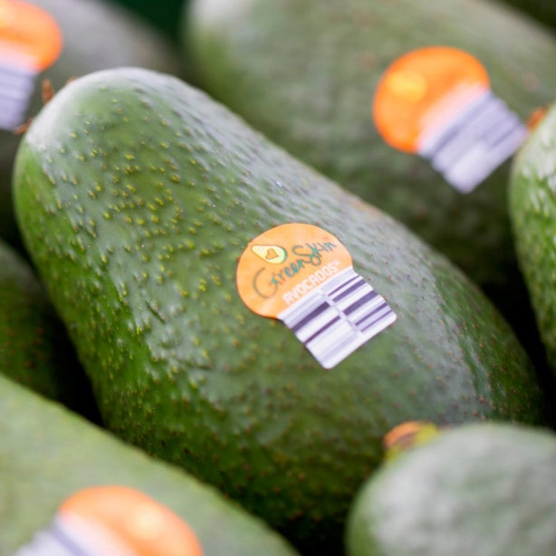 Pick of the Week - Green Skin Avocados
