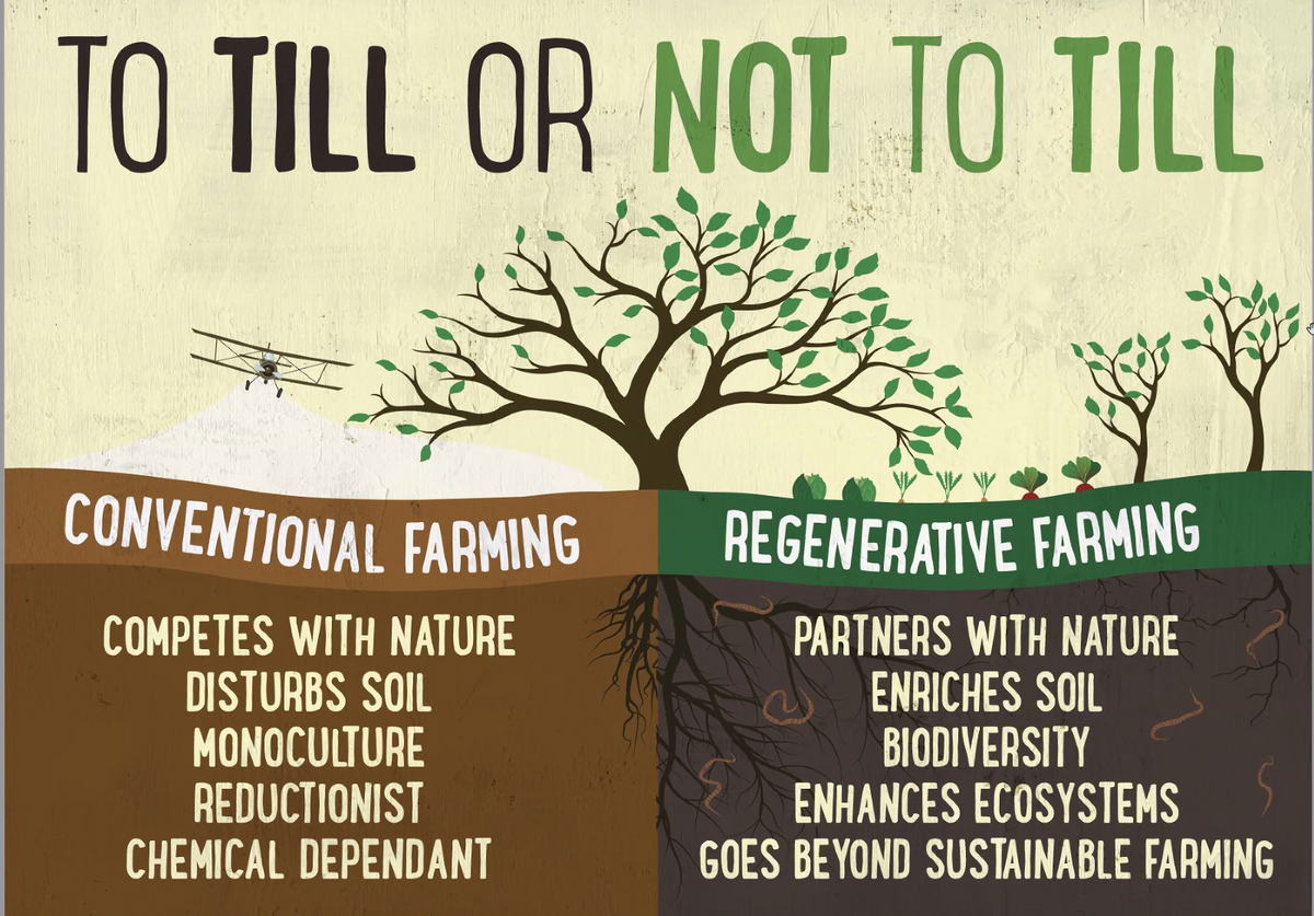 What is Regen Ag?