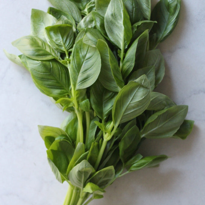 Pick of the Week - Basil