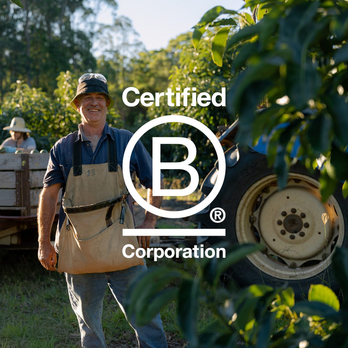Harris Farm is B Corp Certified!