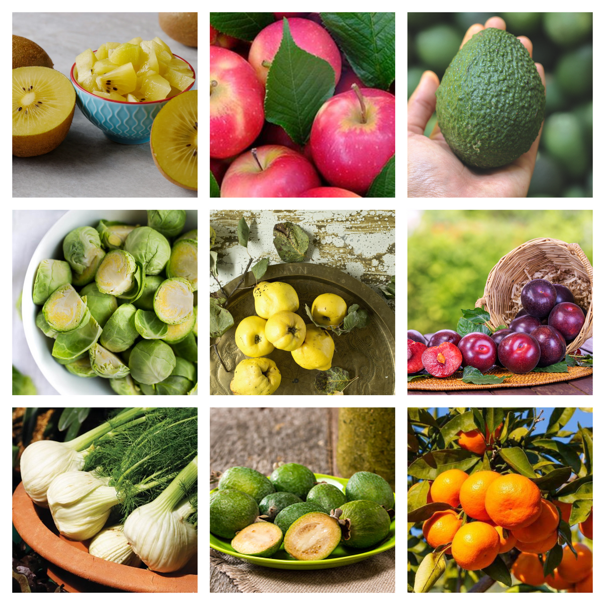 Dave's Market Update & Pick of the Week - Quince - 8 May 2024