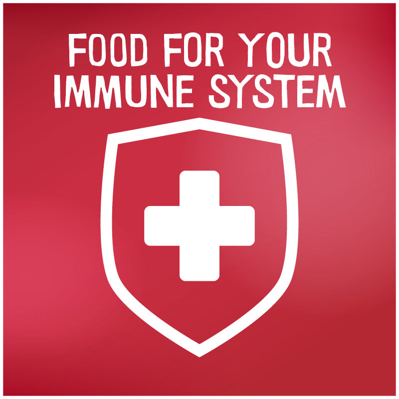 The Nutty Gritty - Food For Your Immune System