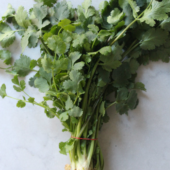 coriander pick of the week