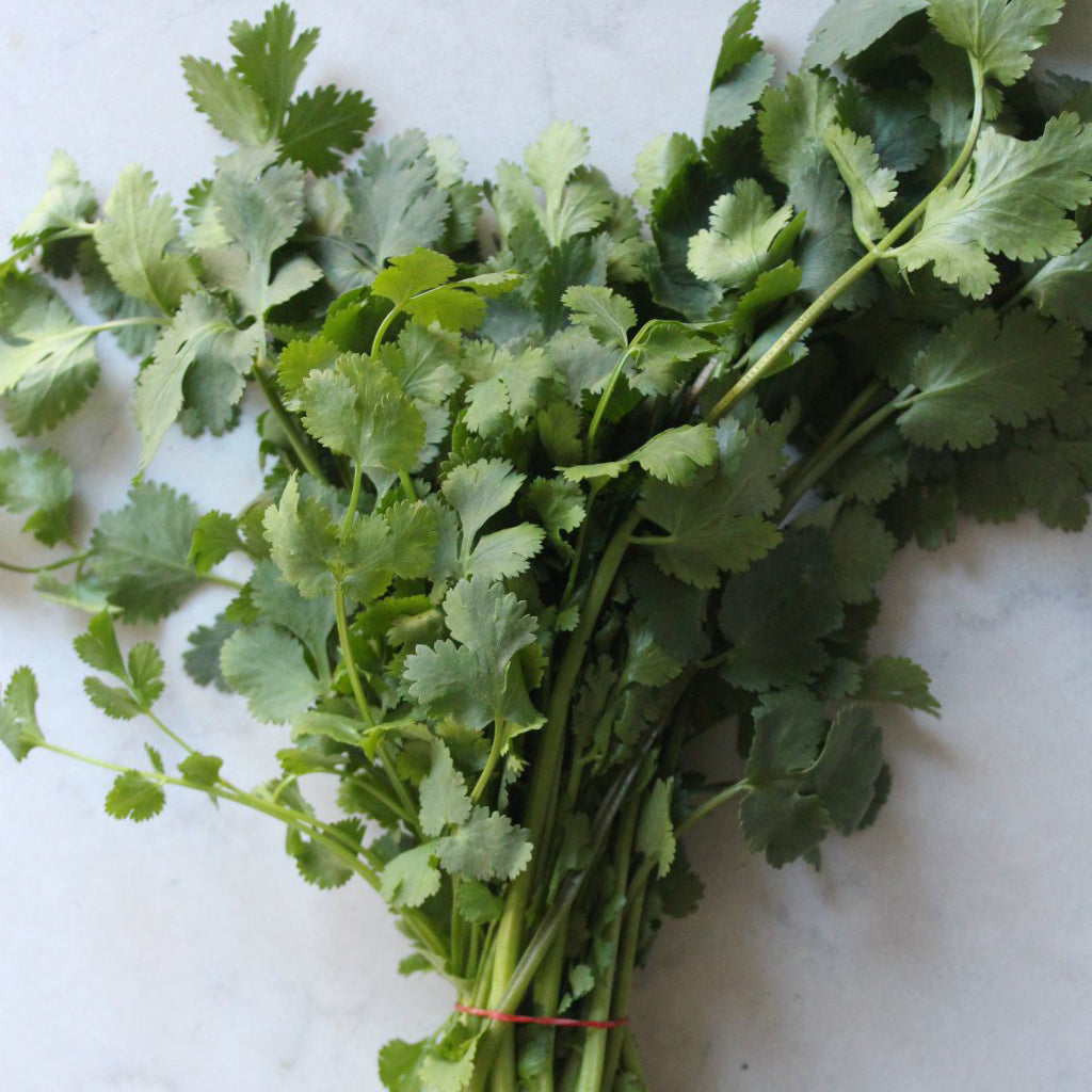 Pick of the Week - Coriander