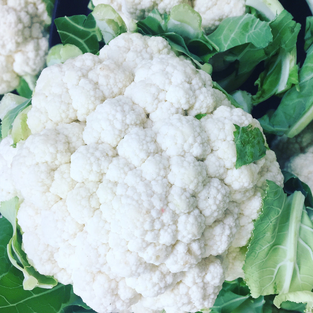 Dave's Pick of the Week - Cauliflower