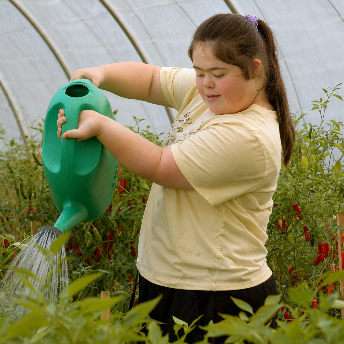Warrah Farm: Growing Food, Opportunity and Community