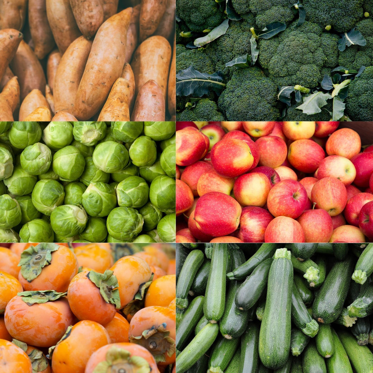 Dave's Market Update - 21.04.2020
