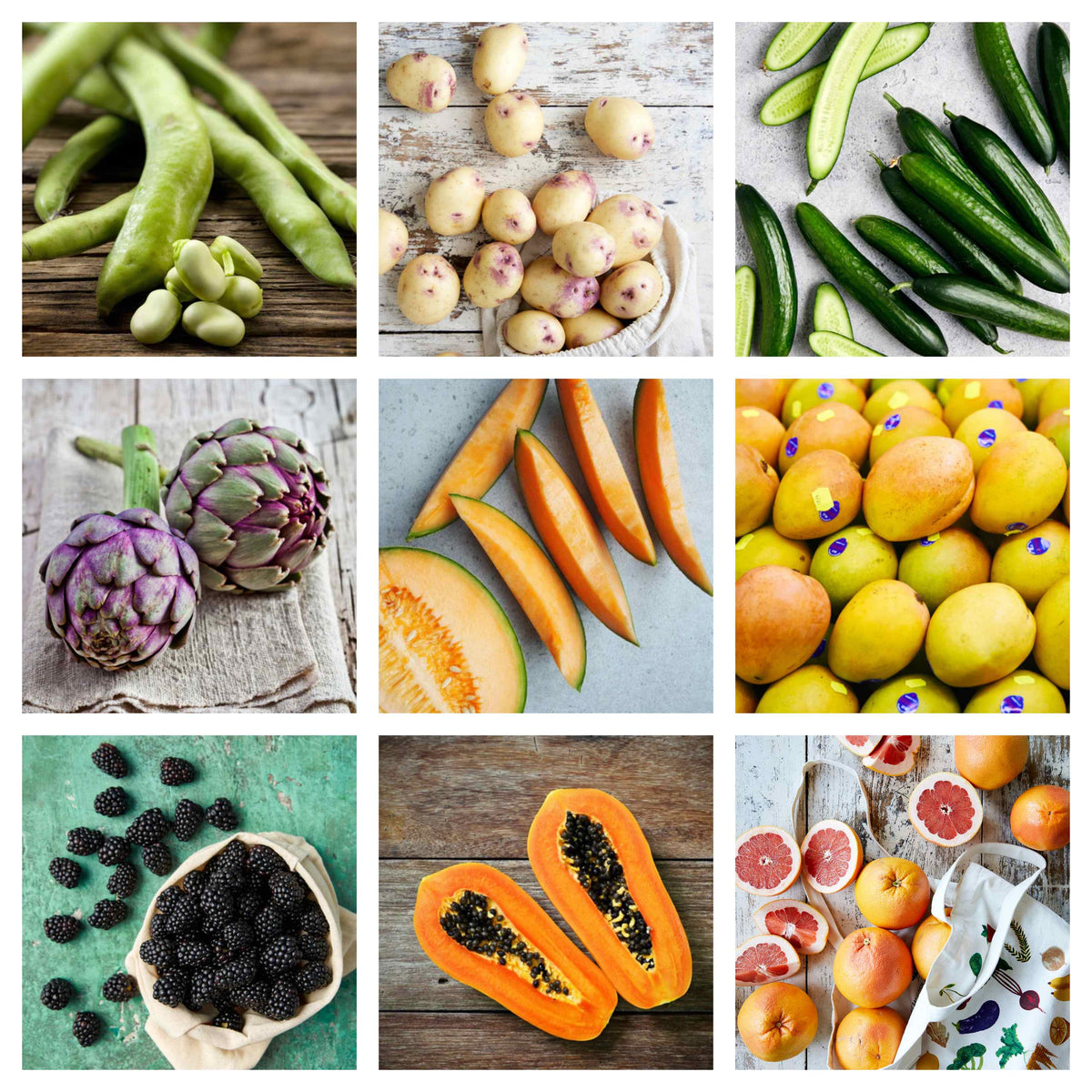 Dave's Market Update - 11 October 2023