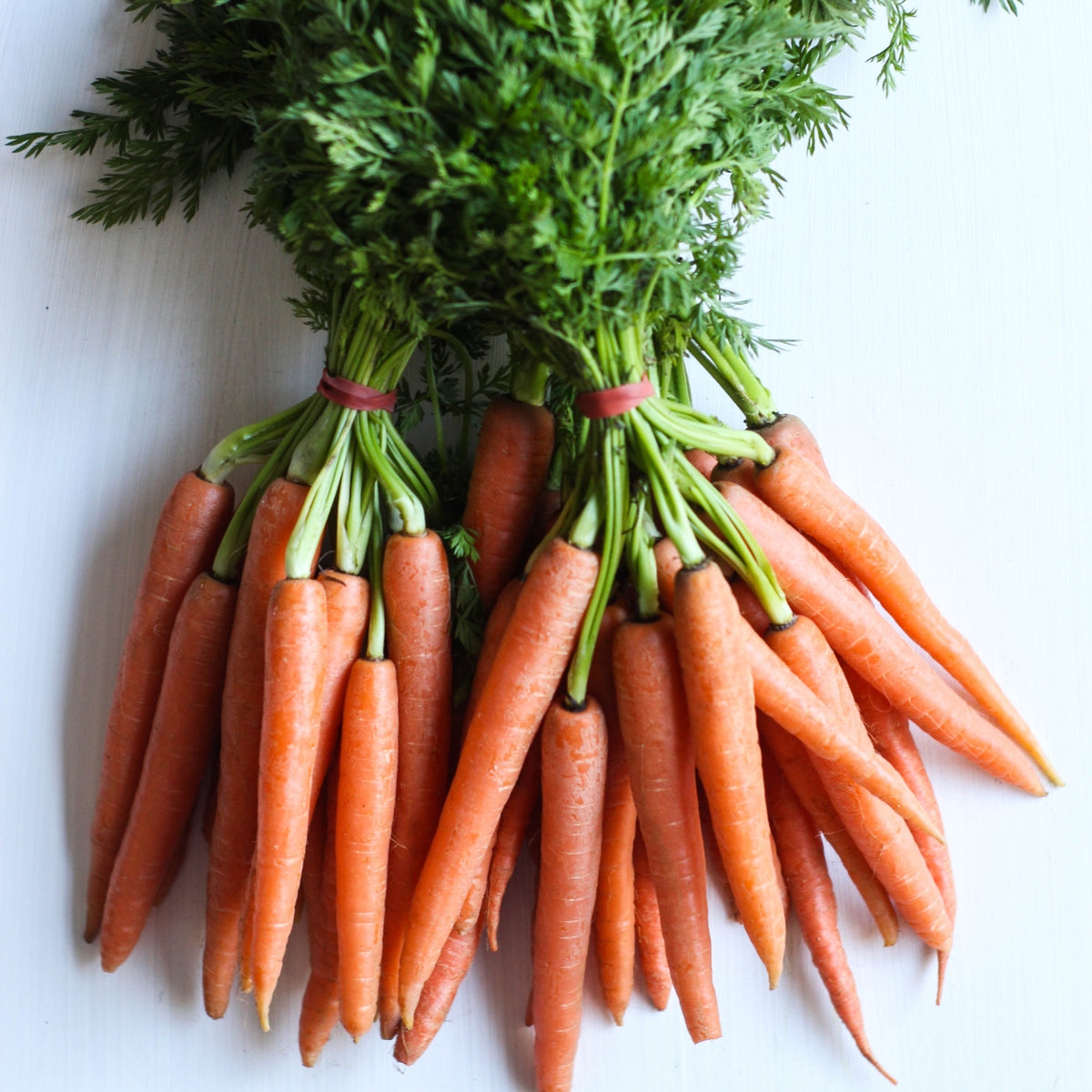 Pick of the Week - Dutch Carrots