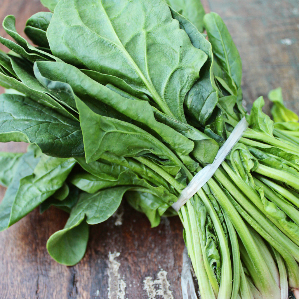 Pick of the Week - English Spinach