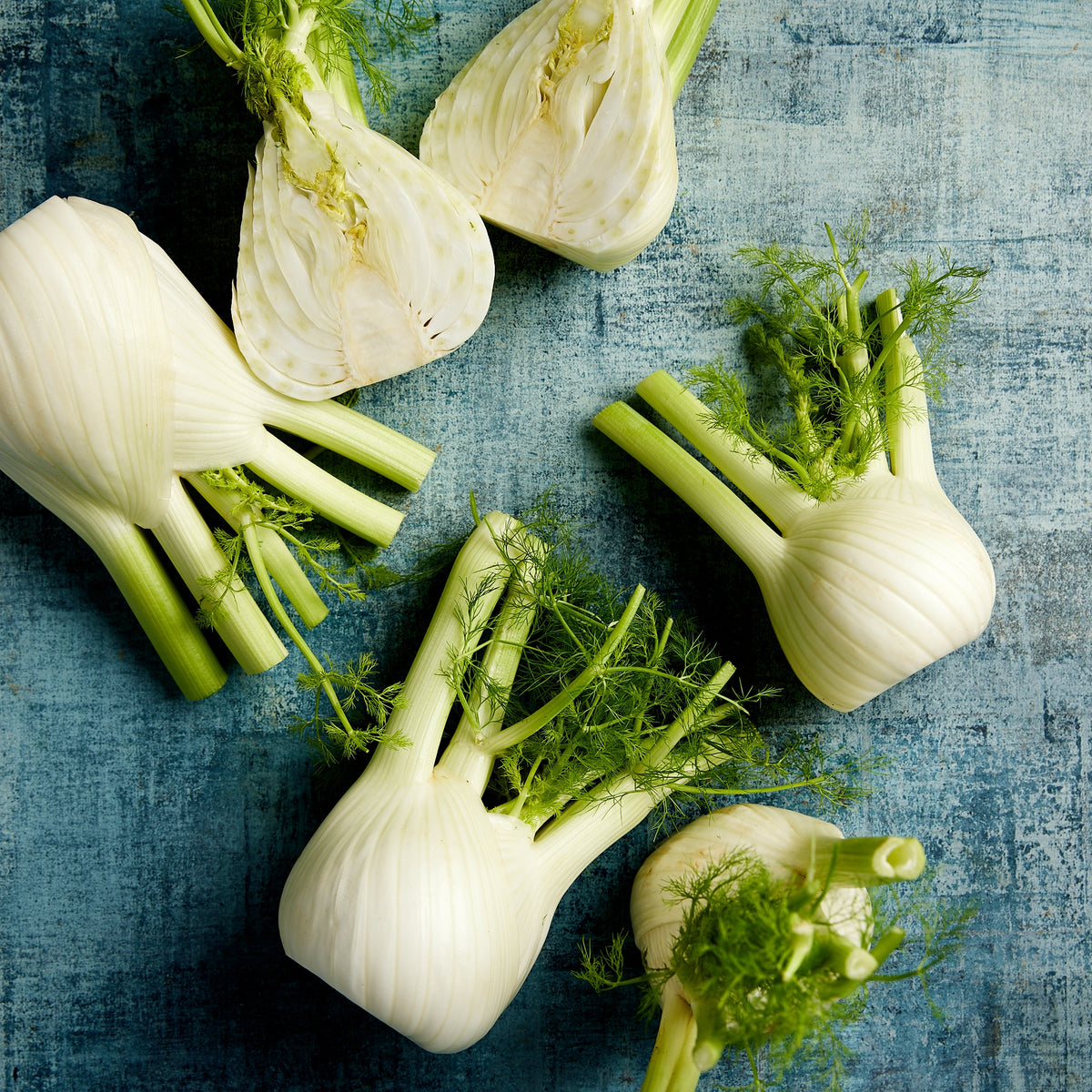 Pick of the Week - Fennel