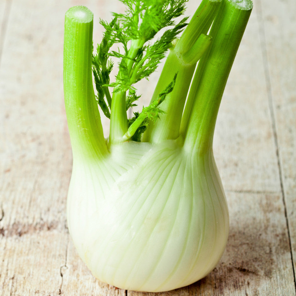 Pick of the Week - Fennel