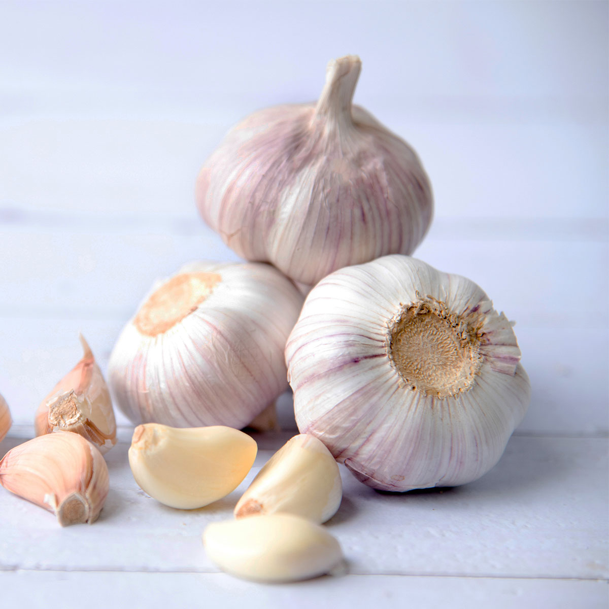 Dave's Pick of the Week - Garlic