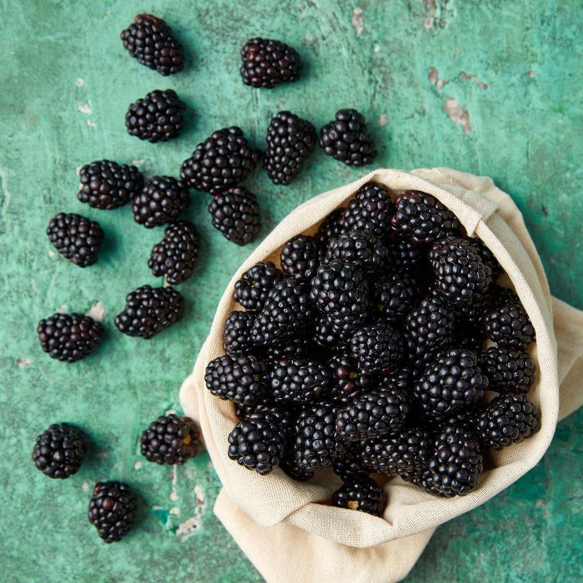 Pick of the Week - Tassie Blackberries