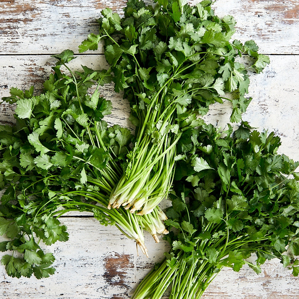 Pick of the Week - Coriander