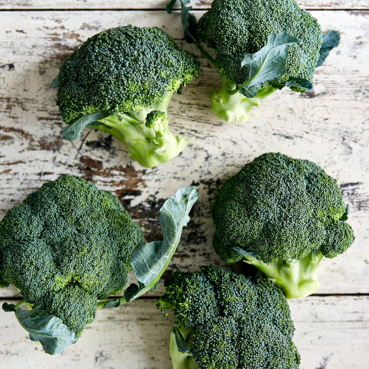 Dave's Pick of the Week - Broccoli
