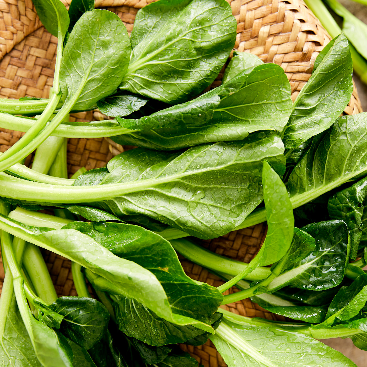 A Guide to our Top 8 Asian Greens