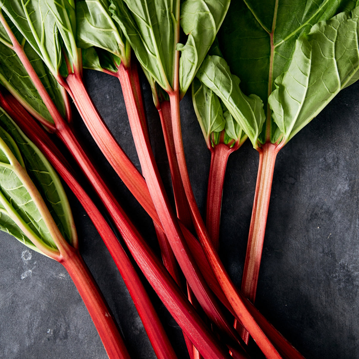 Dave's Pick of the Week - Rhubarb